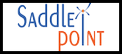 56-Saddle-Point-Technologies-Copy-Copy